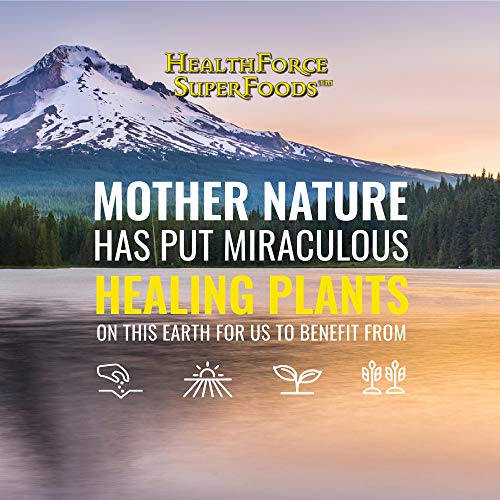 HealthForce SuperFoods Integrity Extracts Lion’s Mane - 90 VeganCa...