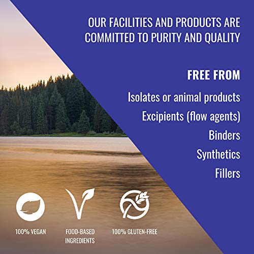 HealthForce SuperFoods Integrity Extracts Lion’s Mane - 90 VeganCa...