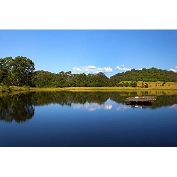Healthy Ponds 51118 Aquasphere Pro Biodegradable Pond Treatment 2-...