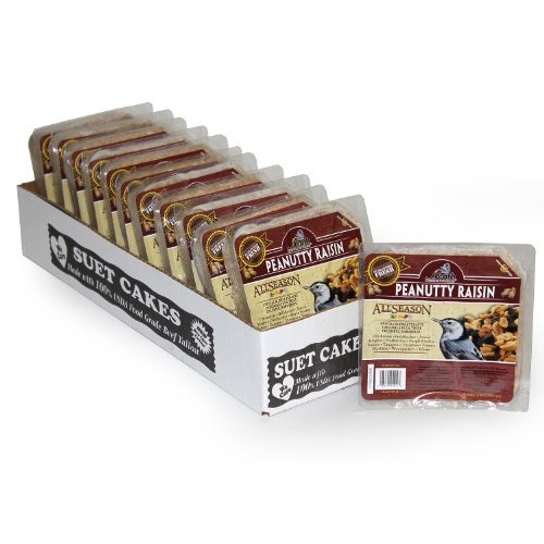Heath Outdoor Products DD-12 Peanutty Raisin Suet Cake, 11.5 oz, C...