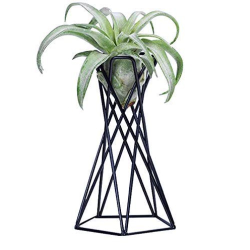 hebaotong Metal Air Plant Holders, Tabletop Big Streptophylla Air ...