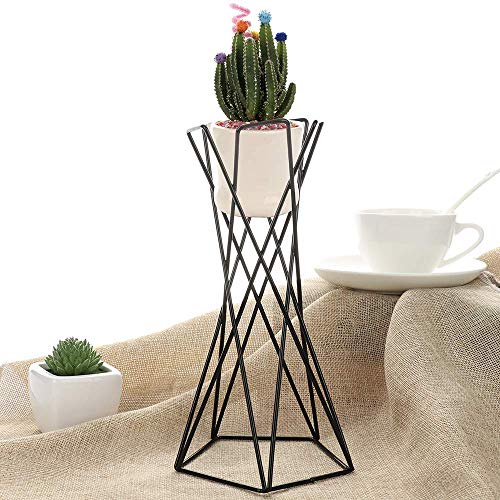 hebaotong Metal Air Plant Holders, Tabletop Big Streptophylla Air ...