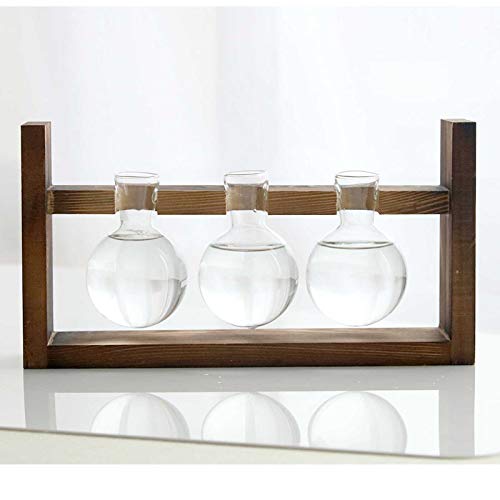 Plant Terrarium with Wooden Stand, Air Planter Bulb Glass Vase Met...