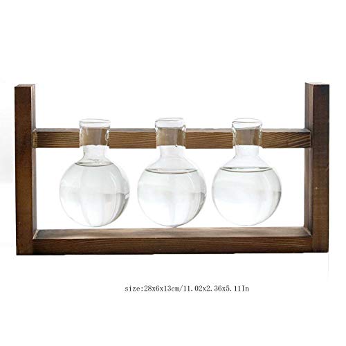 Plant Terrarium with Wooden Stand, Air Planter Bulb Glass Vase Met...