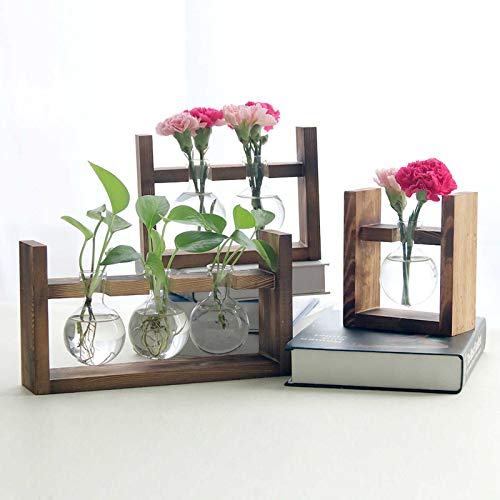 Plant Terrarium with Wooden Stand, Air Planter Bulb Glass Vase Met...