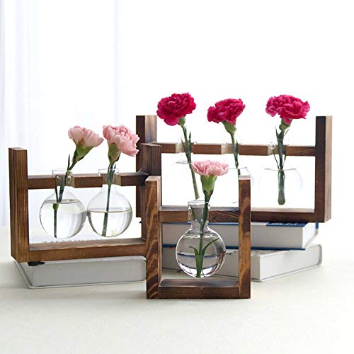 Plant Terrarium with Wooden Stand, Air Planter Bulb Glass Vase Met...
