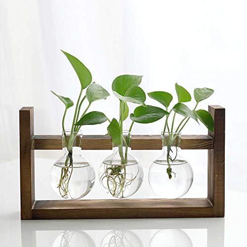 Plant Terrarium with Wooden Stand, Air Planter Bulb Glass Vase Met...