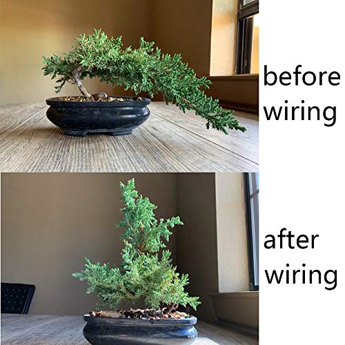 Hedume 9 Roll Wire Kit, 3 Size Bonsai Tree Wire Anodized Aluminum ...