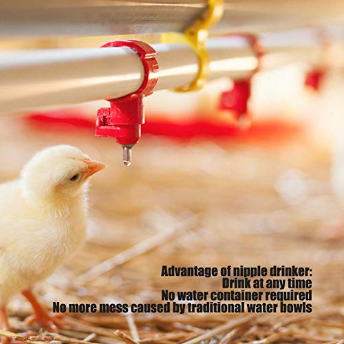 HEEPDD 20Pcs Automatic Water Nipple Drinker Waterer Poultry Chicke...