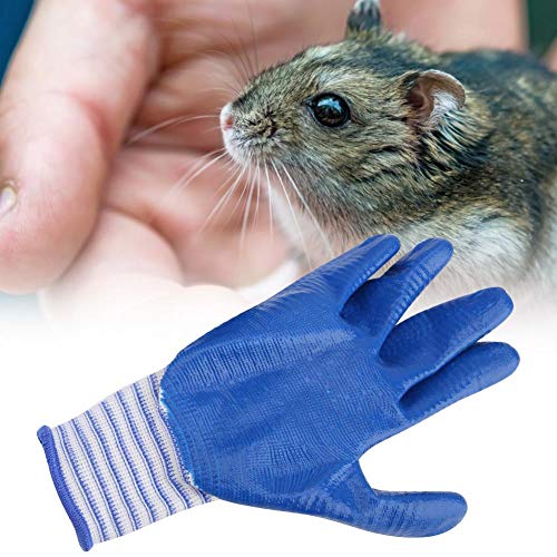 HEEPDD 5 Pcs Bite-Proof Animal Handling Gloves Short Rubber Zebra ...