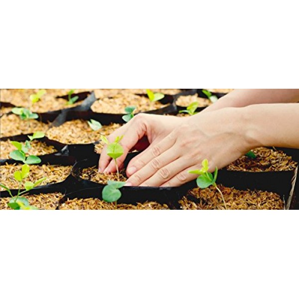 Heirloom Seed Bank with 55 Varieties of Vegetable Seeds by Heirloo...