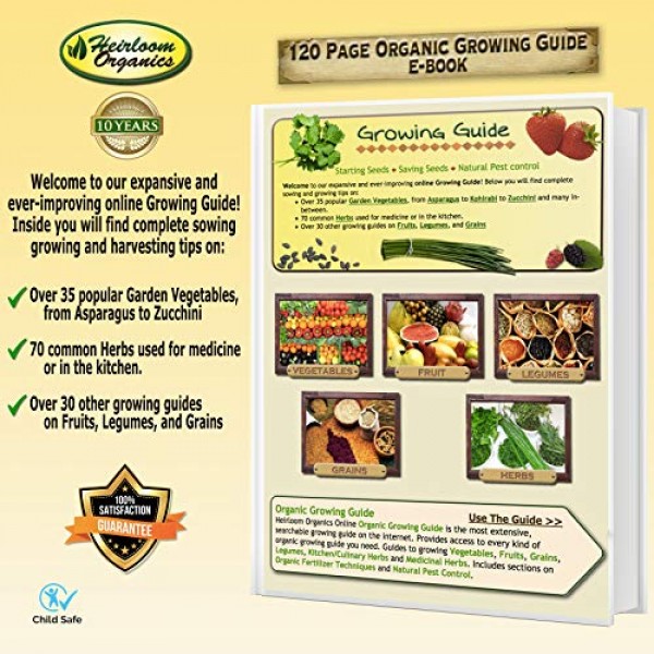 Asian Greens Seeds Expedition! 8 Nutritious Heirloom Non-GMO Leafy...