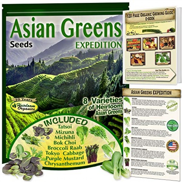 Asian Greens Seeds Expedition! 8 Nutritious Heirloom Non-GMO Leafy...