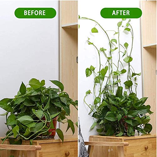 Plant Climbing Wall Fixture Clips - Plant Support Clips Garden Veg...