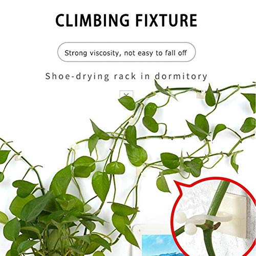 Plant Climbing Wall Fixture Clips - Plant Support Clips Garden Veg...