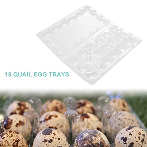 Hemoton 50pcs 18 Grids Small Eggs Tray Disposable Transparent Quai...