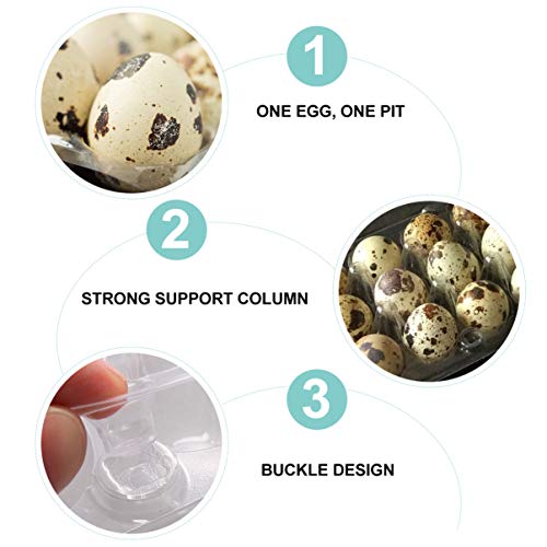 Hemoton 50pcs 18 Grids Small Eggs Tray Disposable Transparent Quai...
