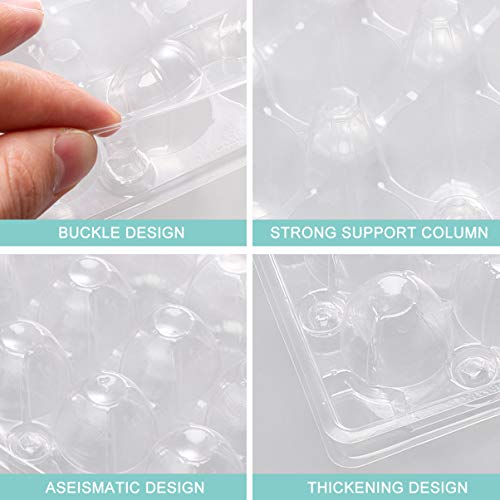 Hemoton 50pcs 18 Grids Small Eggs Tray Disposable Transparent Quai...