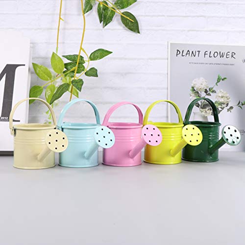 Hemoton Metal Watering Can, 5pcs Simple Kids Watering Can, Childre...