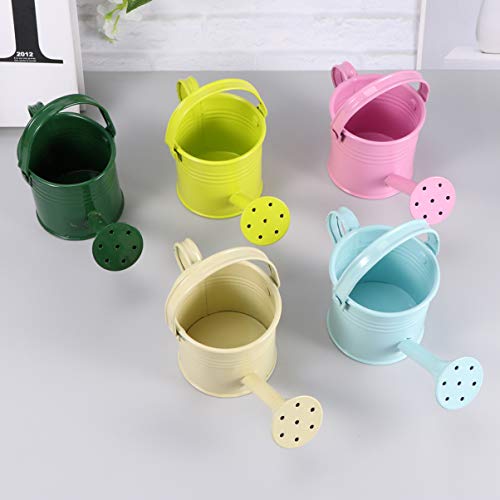 Hemoton Metal Watering Can, 5pcs Simple Kids Watering Can, Childre...