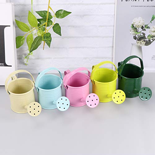 Hemoton Metal Watering Can, 5pcs Simple Kids Watering Can, Childre...