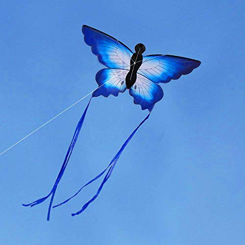 HENGDA KITE for Kids So Beautiful Butterfly Kite for Outdoor Games...