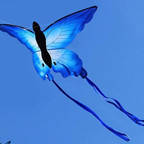 HENGDA KITE for Kids So Beautiful Butterfly Kite for Outdoor Games...