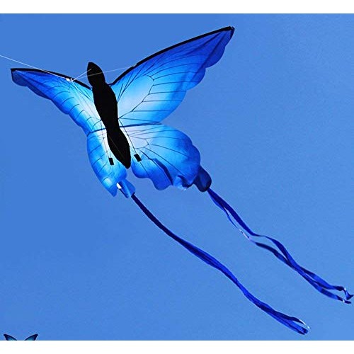HENGDA KITE for Kids So Beautiful Butterfly Kite for Outdoor Games...