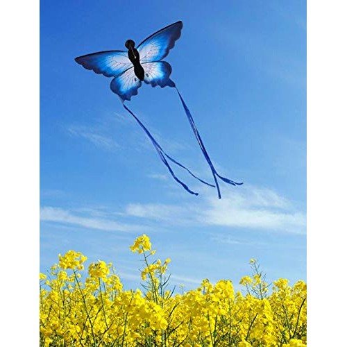 HENGDA KITE for Kids So Beautiful Butterfly Kite for Outdoor Games...