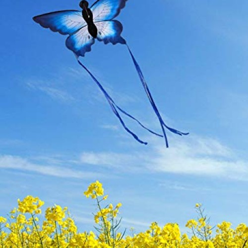 HENGDA KITE for Kids So Beautiful Butterfly Kite for Outdoor Games...