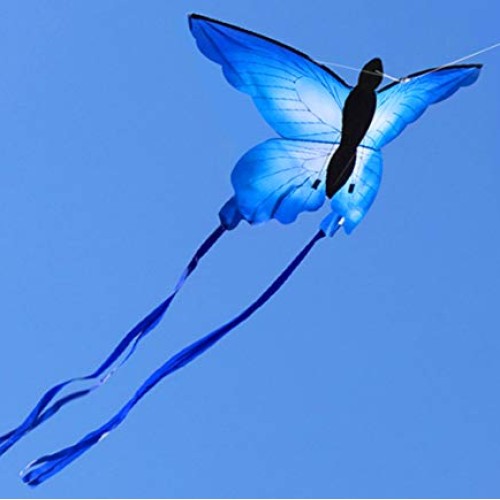 HENGDA KITE for Kids So Beautiful Butterfly Kite for Outdoor Games...