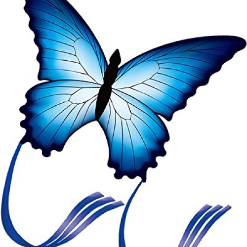 HENGDA KITE for Kids So Beautiful Butterfly Kite for Outdoor Games...