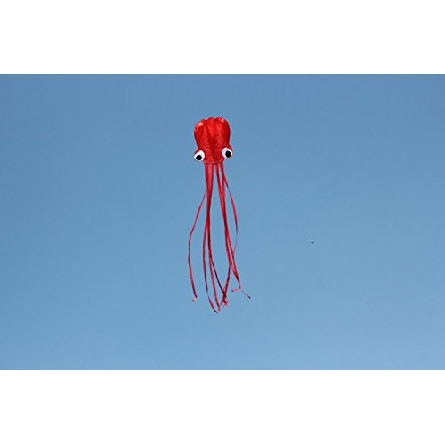 HENGDA KITE Software Octopus Flyer Kite with Long Colorful Tail fo...