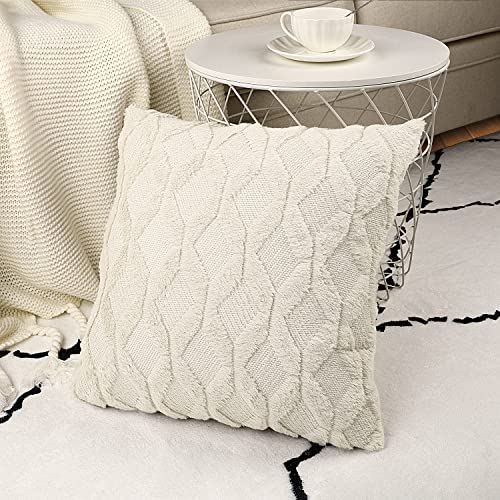Henzxi Set of 2 Throw Pillow Covers 18x18 Inches Farmhouse Decorat...