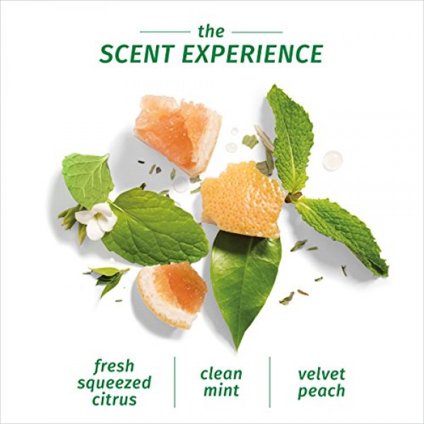 Herbal Essences Bio:renew White Grapefruit & Mosa Mint Naked Volum...