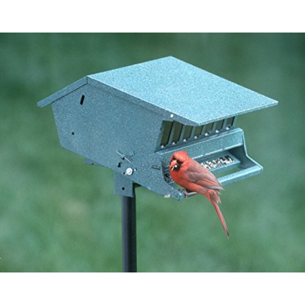 Audubon Birds Delight Squirrel Resistant Bird Feeder Model 7...