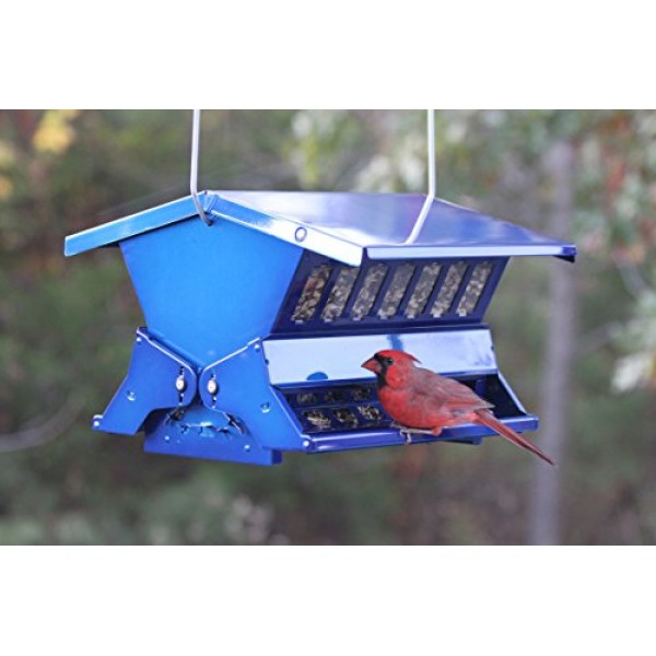 Woodlink Absolute II Electric Blue Squirrel Resistant Bird Feede...