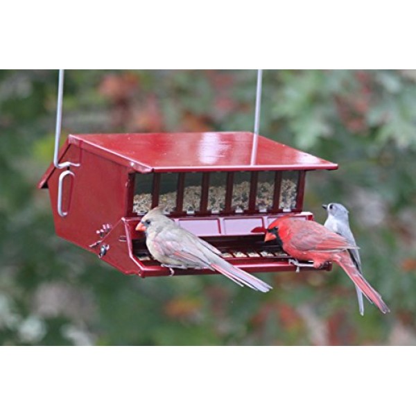 Woodlink Reflective Red Birds Delight Squirrel Resistant Bird Fe...