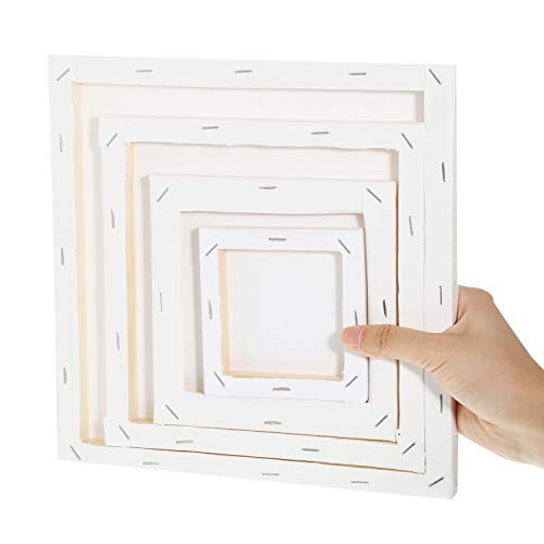 12 Pieces Assorted Size Mini Art Canvas Stretched for Craft Painti...