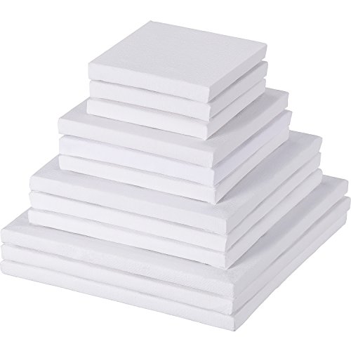 12 Pieces Assorted Size Mini Art Canvas Stretched for Craft Painti...