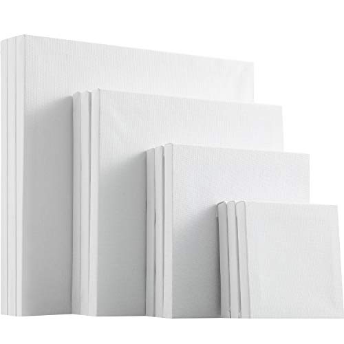 12 Pieces Assorted Size Mini Art Canvas Stretched for Craft Painti...