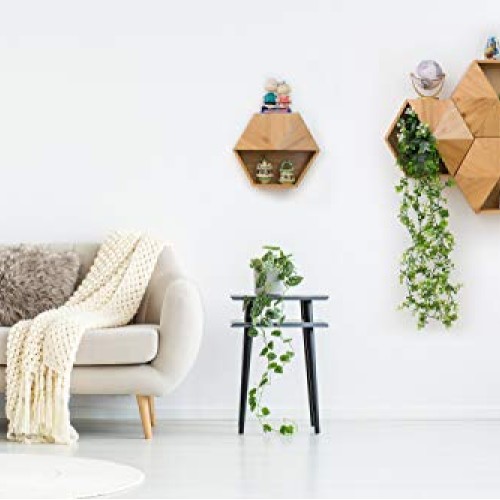 Hexada Premium Wall Mounted Hanging Planter and Geometric Wall Dec...