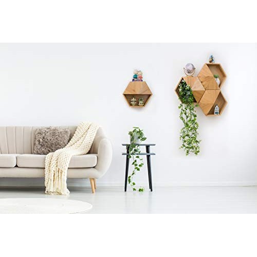 Hexada Premium Wall Mounted Hanging Planter and Geometric Wall Dec...