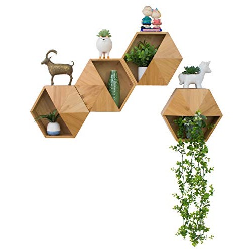 Hexada Premium Wall Mounted Hanging Planter and Geometric Wall Dec...