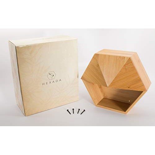 Hexada Premium Wall Mounted Hanging Planter and Geometric Wall Dec...