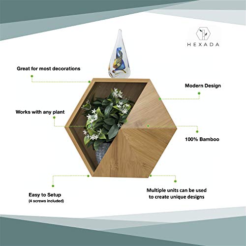 Hexada Premium Wall Mounted Hanging Planter and Geometric Wall Dec...