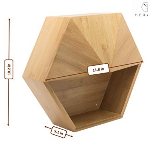 Hexada Premium Wall Mounted Hanging Planter and Geometric Wall Dec...