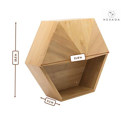 Hexada Premium Wall Mounted Hanging Planter and Geometric Wall Dec...