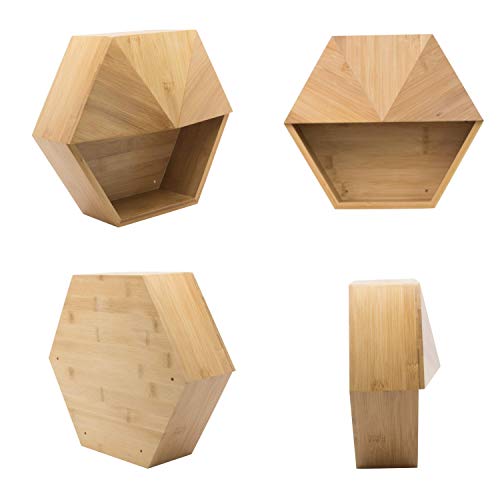 Hexada Premium Wall Mounted Hanging Planter and Geometric Wall Dec...