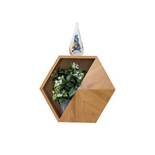 Hexada Premium Wall Mounted Hanging Planter and Geometric Wall Dec...